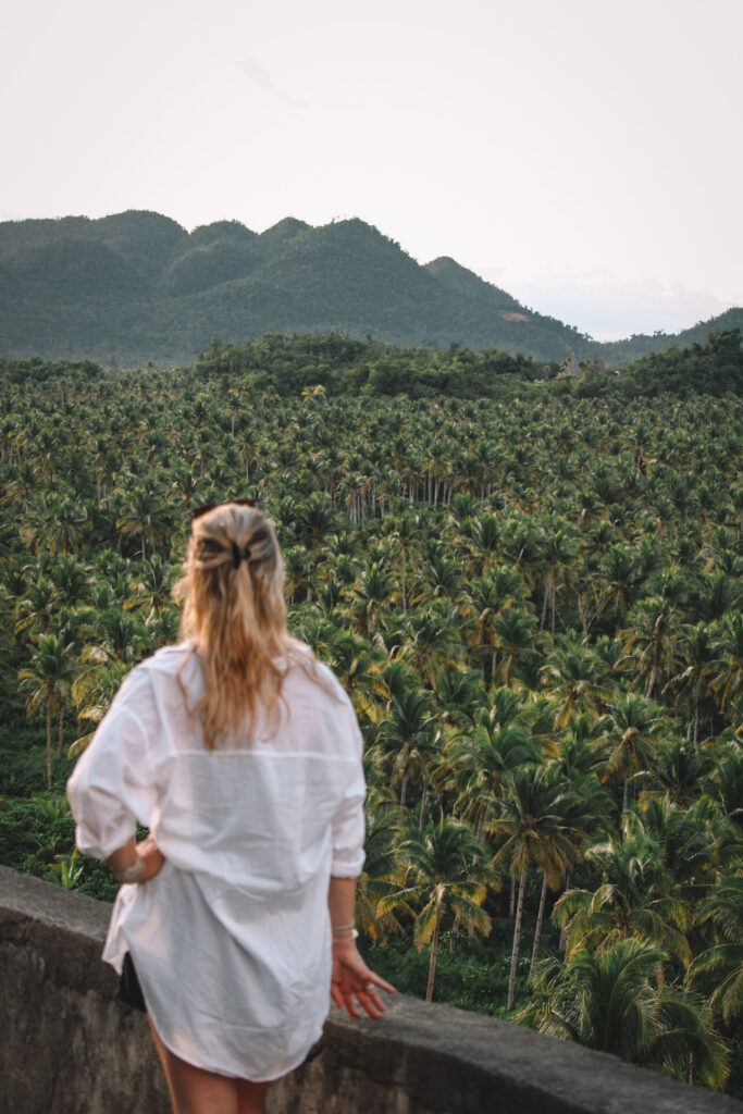 CoconutviewdeckSiargaotips