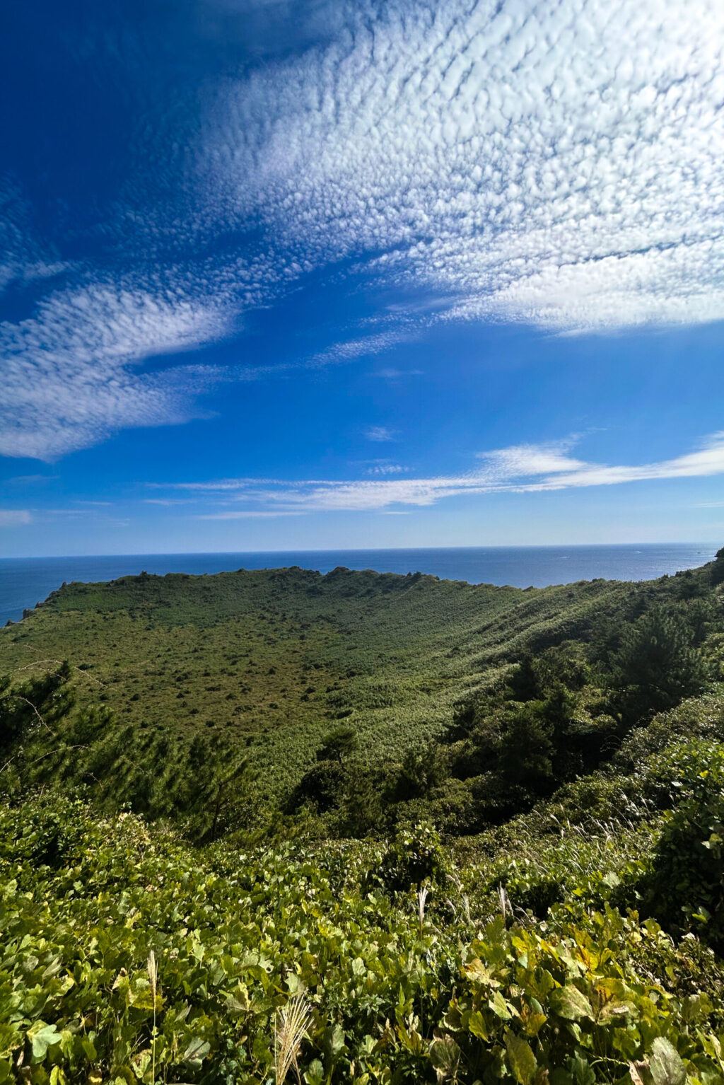 10keerdeleukstetipsJeju